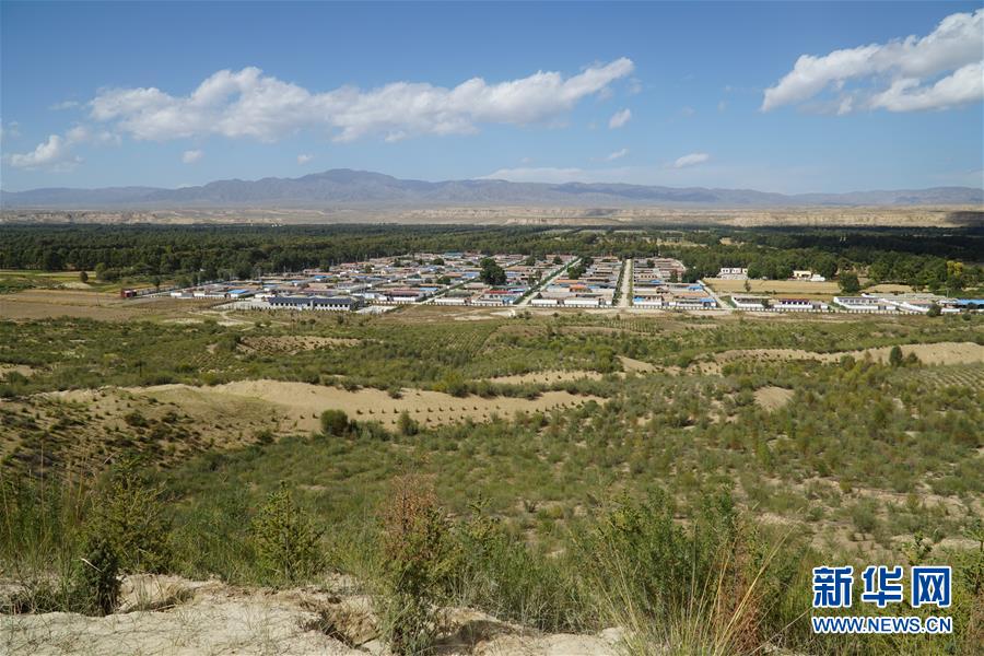 （決戰決勝脫貧攻堅·圖文互動）（2）高原鄉鎮沙珠玉 治沙斗貧成“綠?！薄嗪Ｊ」埠涂h沙珠玉鄉采訪見聞