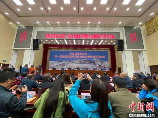 圖為祁連山國家公園第一屆自然觀察節開幕式現場。　李江寧　攝 　　